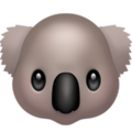 koala
